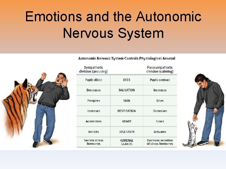 Emotions and the Autonomic Nervous System 