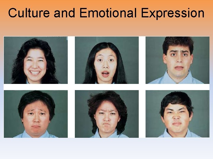 Culture and Emotional Expression 