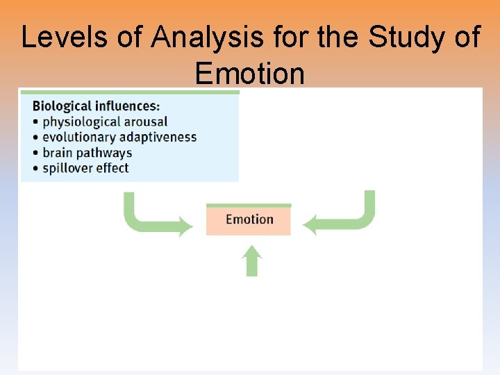 Levels of Analysis for the Study of Emotion 