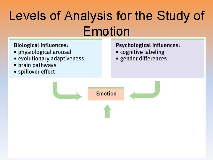 Levels of Analysis for the Study of Emotion 
