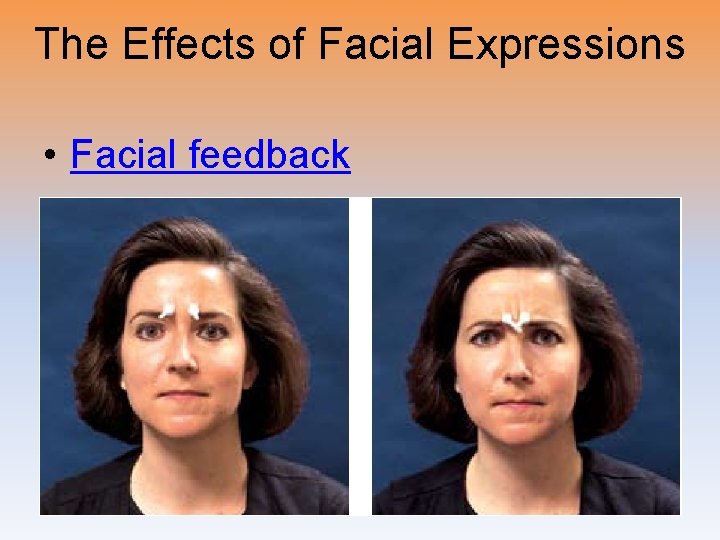The Effects of Facial Expressions • Facial feedback 