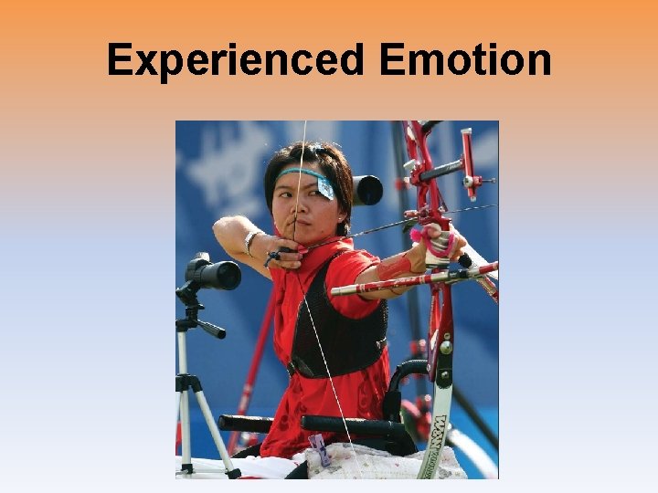 Experienced Emotion 