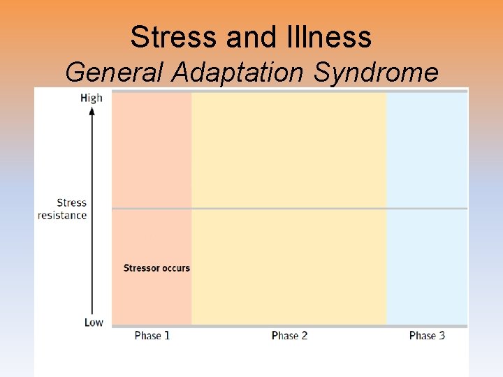 Stress and Illness General Adaptation Syndrome 