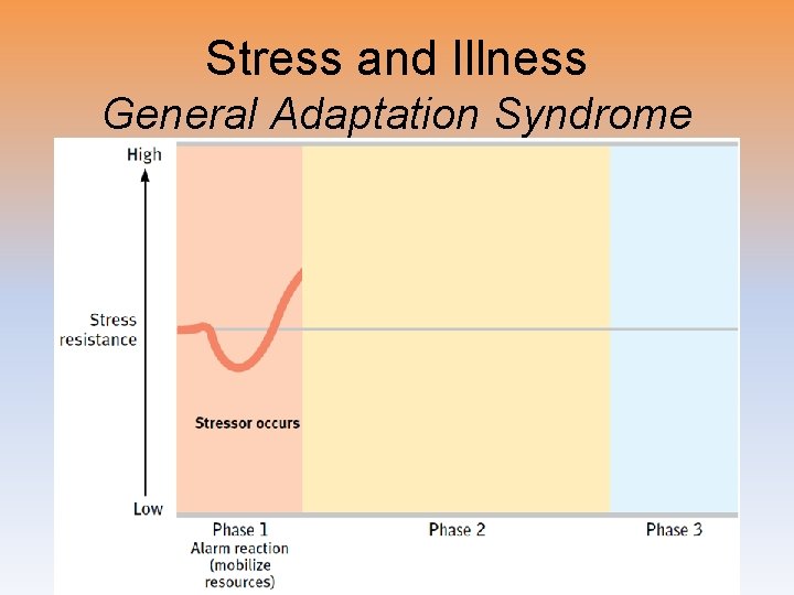 Stress and Illness General Adaptation Syndrome 