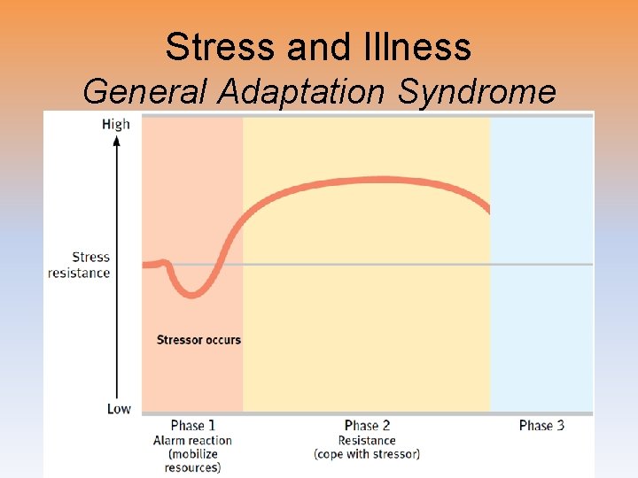 Stress and Illness General Adaptation Syndrome 