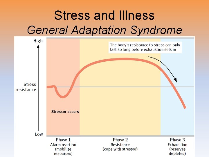 Stress and Illness General Adaptation Syndrome 