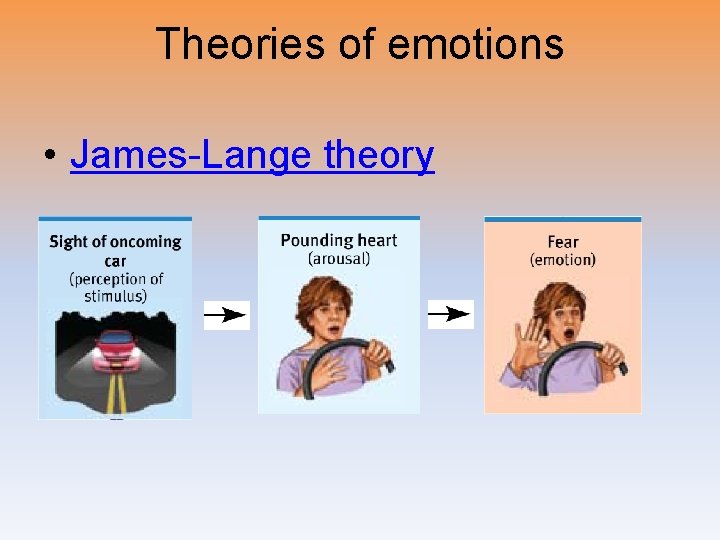 Theories of emotions • James-Lange theory 