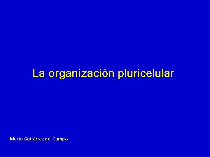 La organización pluricelular Marta Gutiérrez del Campo La organización pluricelular Marta Gutiérrez del Campo