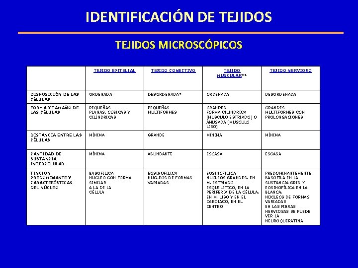 IDENTIFICACIÓN DE TEJIDOS MICROSCÓPICOS TEJIDO EPITELIAL TEJIDO CONECTIVO TEJIDO MUSCULAR** TEJIDO NERVIOSO DISPOSICIÓN DE IDENTIFICACIÓN DE TEJIDOS MICROSCÓPICOS TEJIDO EPITELIAL TEJIDO CONECTIVO TEJIDO MUSCULAR** TEJIDO NERVIOSO DISPOSICIÓN DE