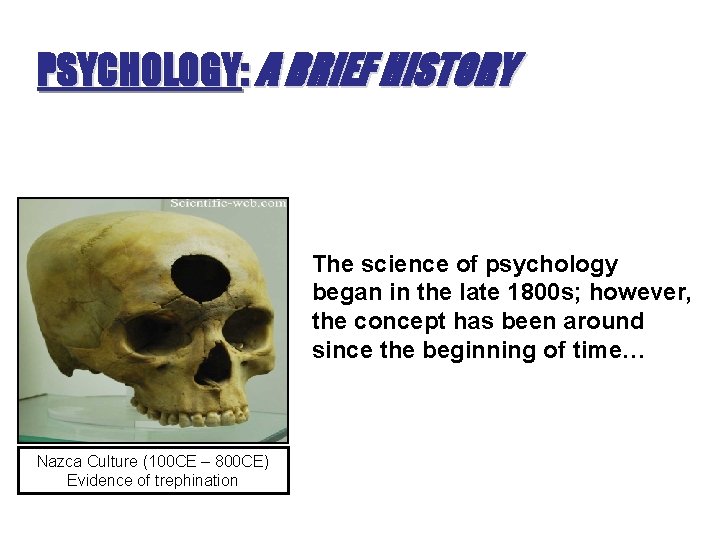 PSYCHOLOGY: A BRIEF HISTORY The science of psychology began in the late 1800 s; PSYCHOLOGY: A BRIEF HISTORY The science of psychology began in the late 1800 s;