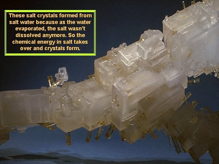These salt crystals formed from salt water because as the water evaporated, the salt