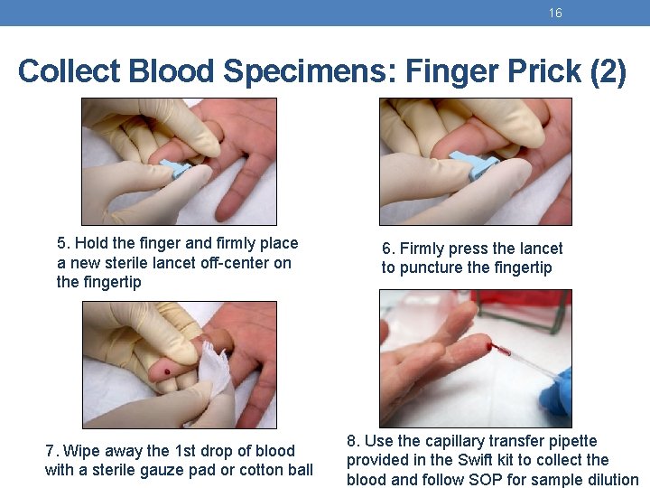 16 Collect Blood Specimens: Finger Prick (2) 5. Hold the finger and firmly place