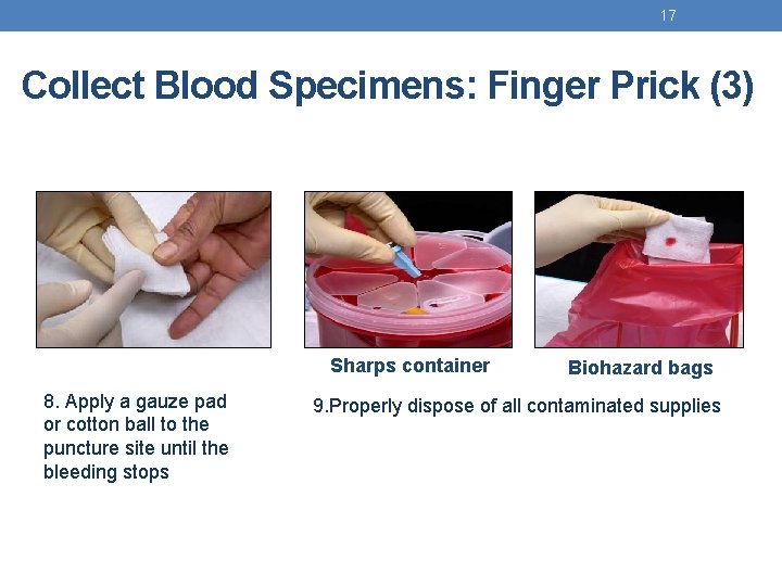 17 Collect Blood Specimens: Finger Prick (3) Sharps container 8. Apply a gauze pad