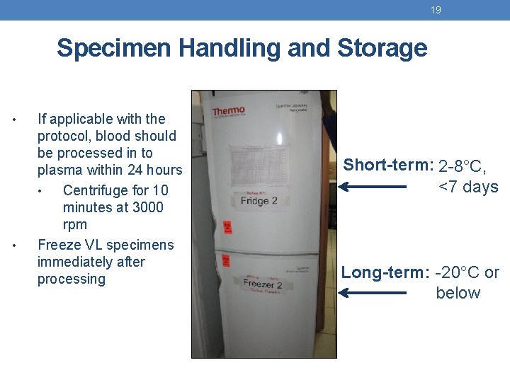 19 Specimen Handling and Storage • • If applicable with the protocol, blood should