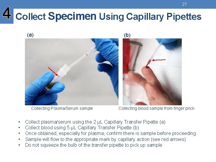 27 4 Collect Specimen Using Capillary Pipettes (a) Collecting Plasma/Serum sample • • •