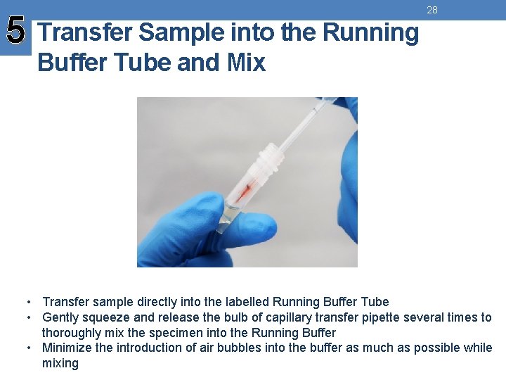 5 Transfer Sample into the Running 28 Buffer Tube and Mix • Transfer sample