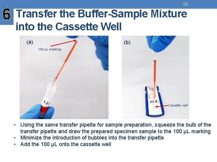 29 6 Transfer the Buffer-Sample Mixture into the Cassette Well (a) (b) 100 µL