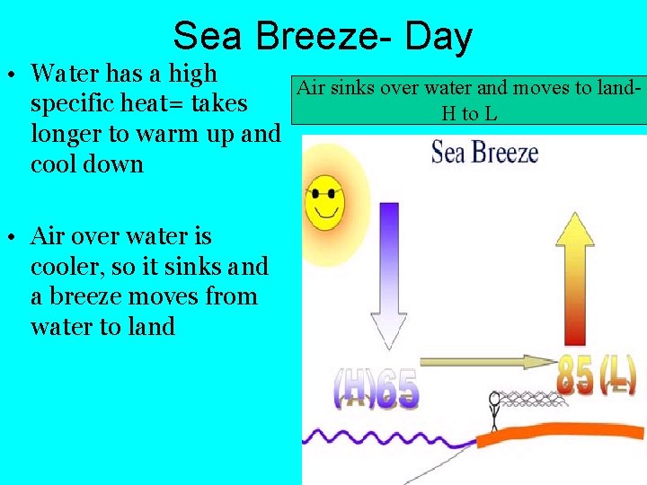 Sea Breeze- Day • Water has a high Air sinks over water and moves