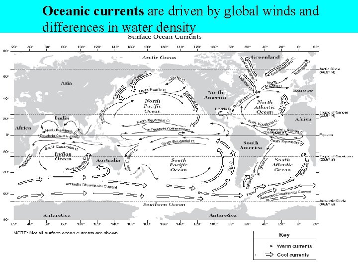 Oceanic currents are driven by global winds and differences in water density 