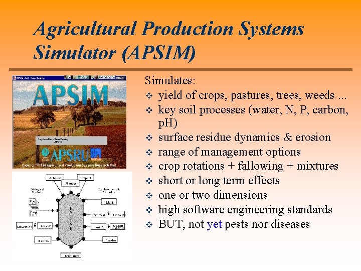 Agricultural Production Systems Simulator (APSIM) Simulates: v yield of crops, pastures, trees, weeds. .