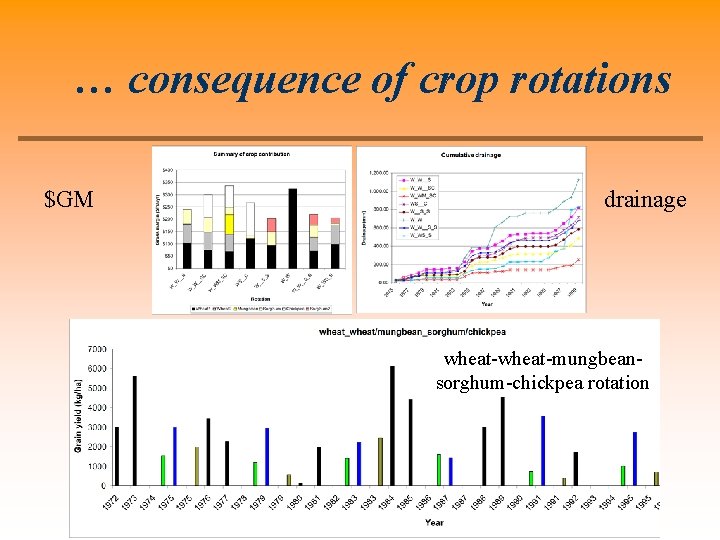 … consequence of crop rotations $GM drainage wheat-mungbeansorghum-chickpea rotation 
