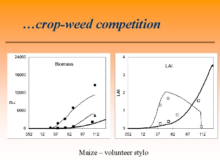 …crop-weed competition Maize – volunteer stylo 