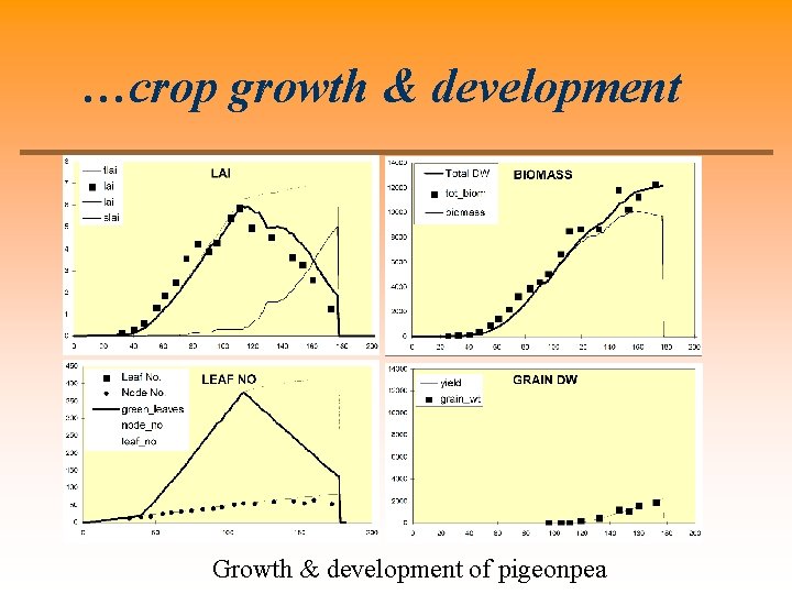 …crop growth & development Growth & development of pigeonpea 