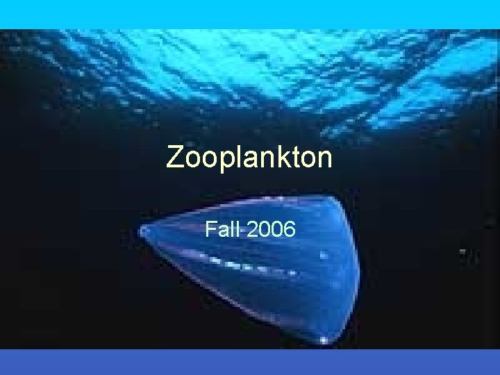 Zooplankton Fall 2006 