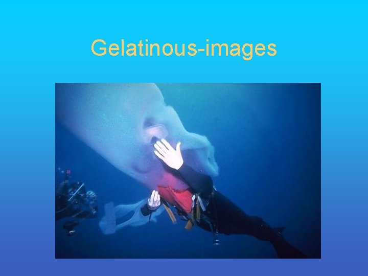 Gelatinous-images 
