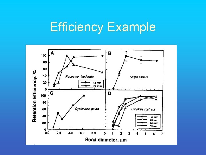 Efficiency Example 