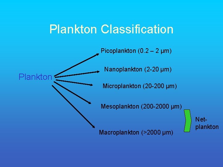 Plankton Classification Picoplankton (0. 2 – 2 µm) Plankton Nanoplankton (2 -20 µm) Microplankton