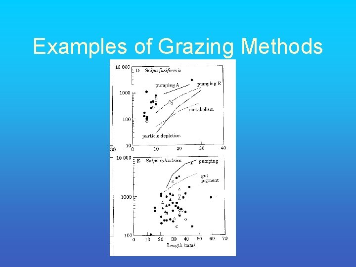 Examples of Grazing Methods 