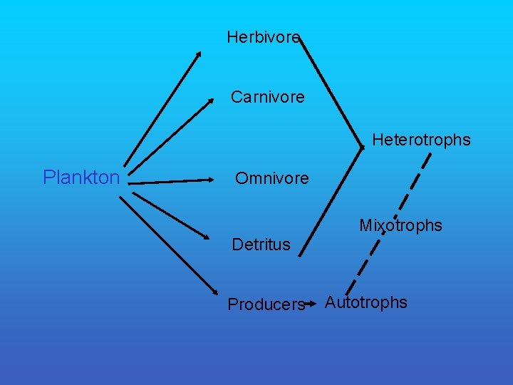 Herbivore Carnivore Heterotrophs Plankton Omnivore Detritus Producers Mixotrophs Autotrophs 