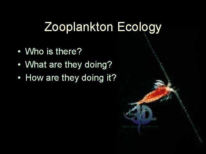 Zooplankton Ecology • Who is there? • What are they doing? • How are
