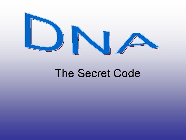 The Secret Code 