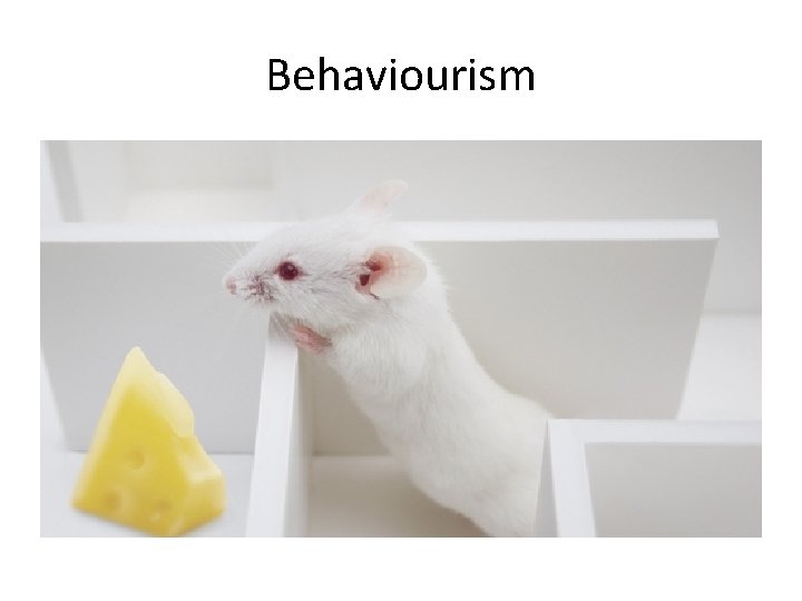 Behaviourism 