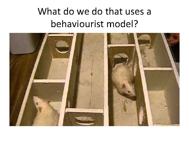 What do we do that uses a behaviourist model? 