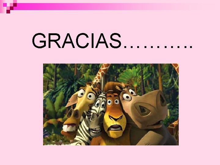 GRACIAS………. . 