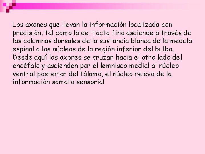 Los axones que llevan la información localizada con precisión, tal como la del tacto