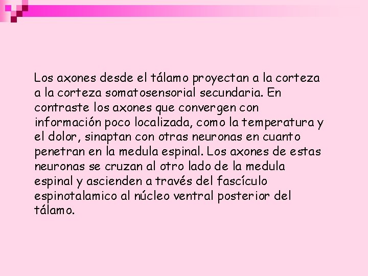 Los axones desde el tálamo proyectan a la corteza somatosensorial secundaria. En contraste los