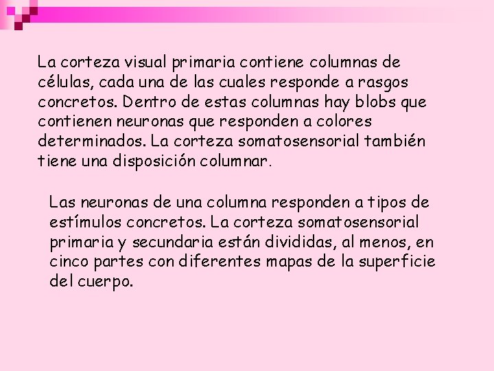 La corteza visual primaria contiene columnas de células, cada una de las cuales responde