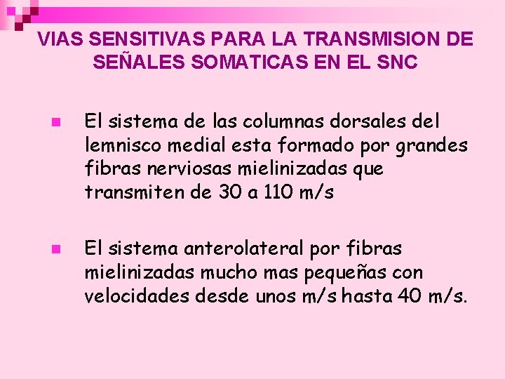 VIAS SENSITIVAS PARA LA TRANSMISION DE SEÑALES SOMATICAS EN EL SNC n n El