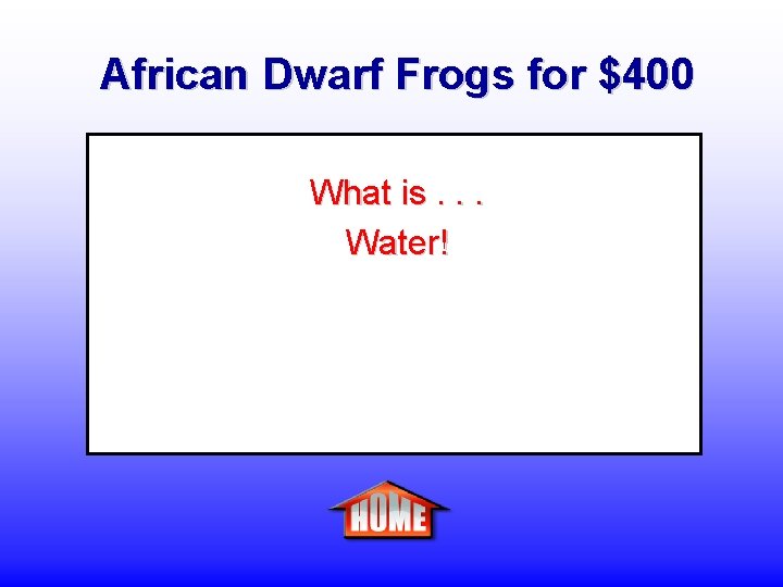 African Dwarf Frogs for $400 What is. . . Water! 