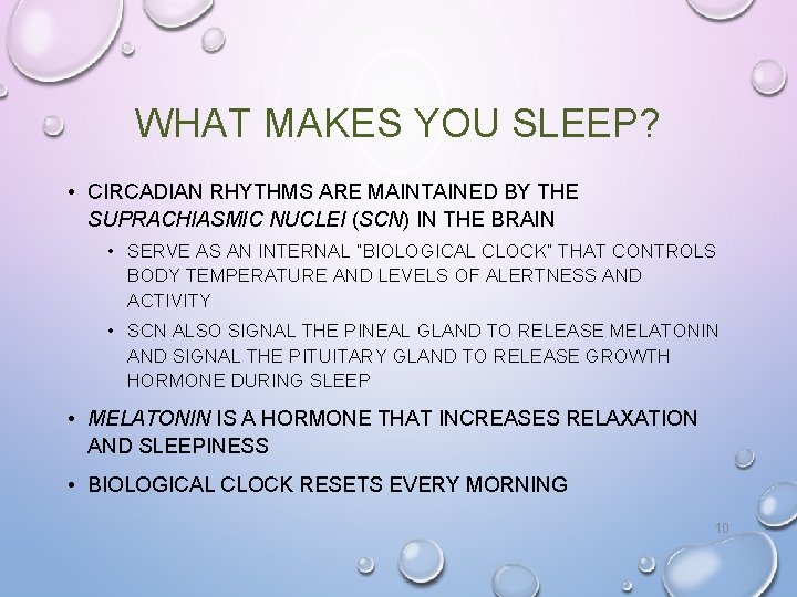 WHAT MAKES YOU SLEEP? • CIRCADIAN RHYTHMS ARE MAINTAINED BY THE SUPRACHIASMIC NUCLEI (SCN)