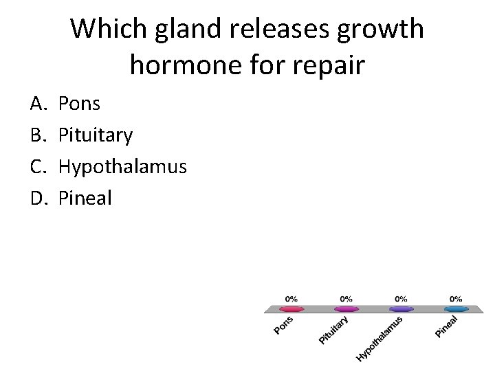 Which gland releases growth hormone for repair A. B. C. D. Pons Pituitary Hypothalamus