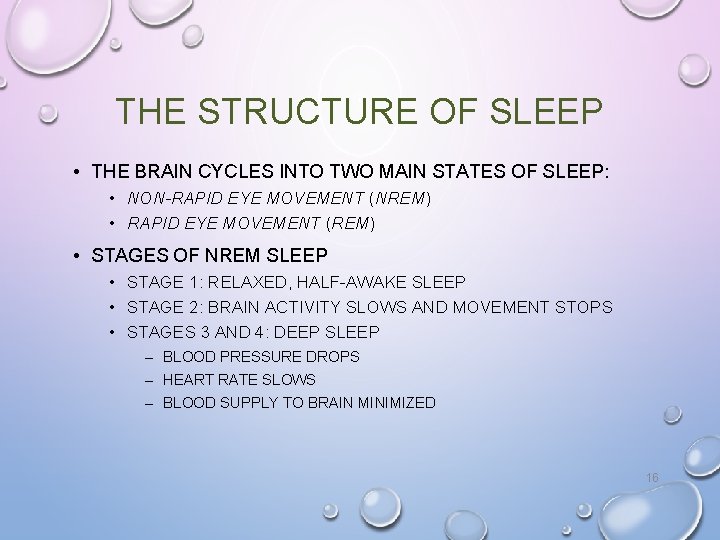 THE STRUCTURE OF SLEEP • THE BRAIN CYCLES INTO TWO MAIN STATES OF SLEEP: