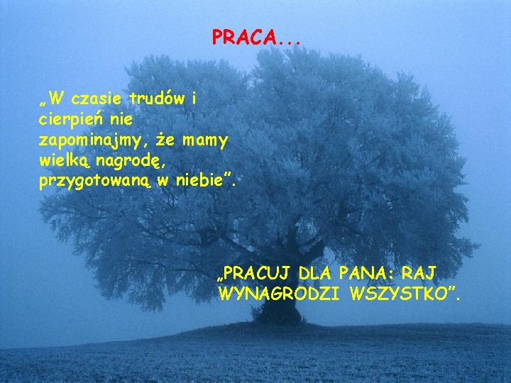 PRACA. . . „W czasie trudów i cierpień nie zapominajmy, że mamy wielką nagrodę,