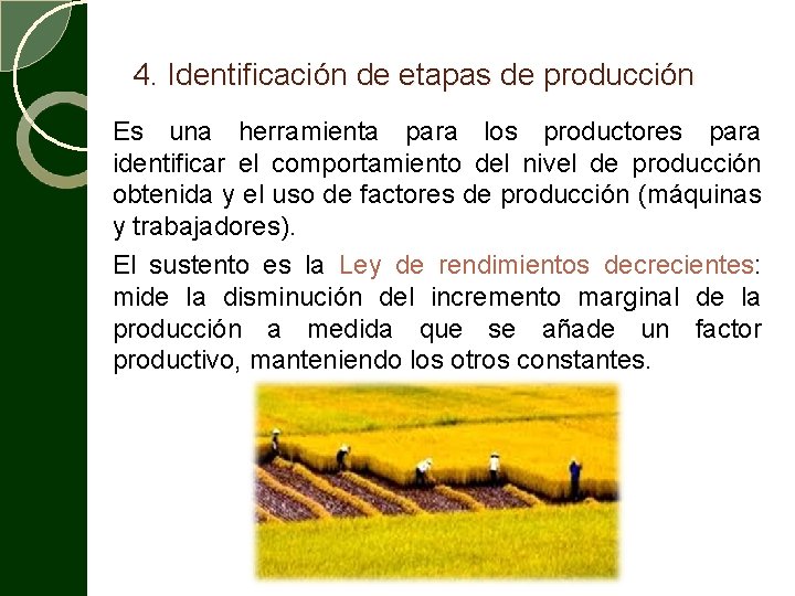 4. Identificación de etapas de producción Es una herramienta para los productores para identificar