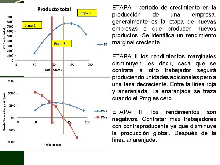 ETAPA I período de crecimiento en la producción de una empresa, generalmente es la