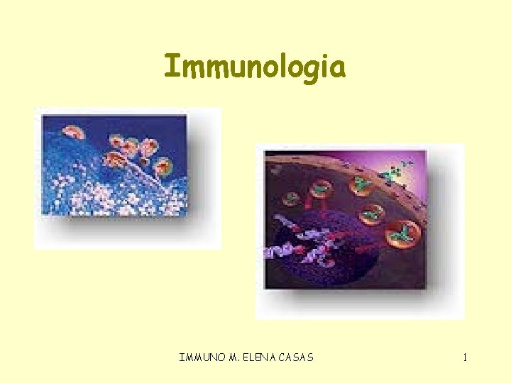 Immunologia IMMUNO M. ELENA CASAS 1 